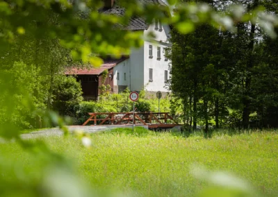 Stepanek spol most Rzech (10)