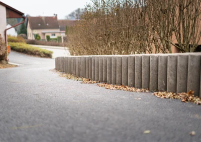 Stepanek spol Svidnice (1)