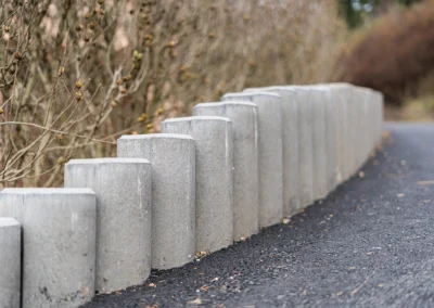 Stepanek spol Svidnice (2)