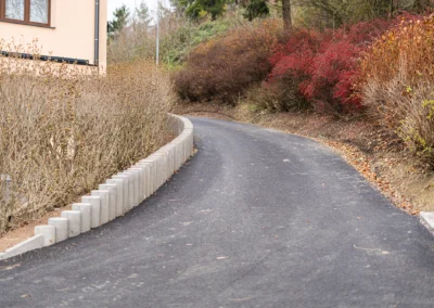 Stepanek spol Svidnice (3)