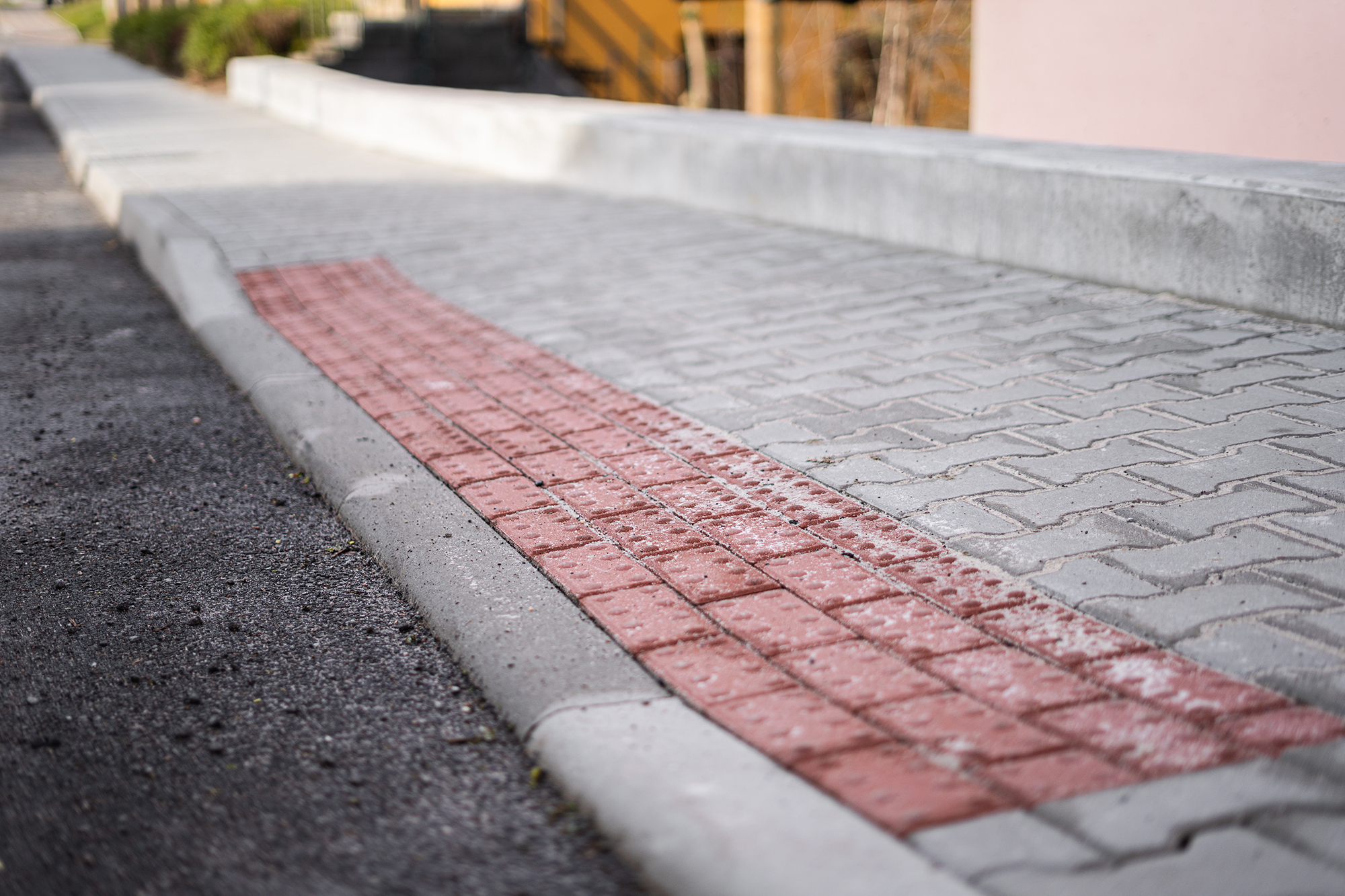 Stepanek spol chodnik Ceska Cermna (4)