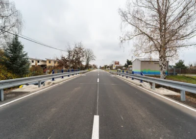 Stepanek spol most (10)