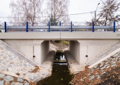 Stepanek spol most (13)