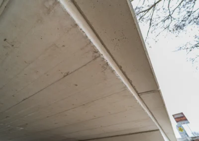 Stepanek spol most (7)