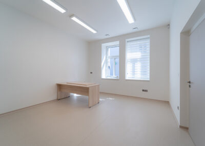 stepanek kostelec vila (13)