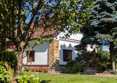 stepanek nova fasada rd (12)